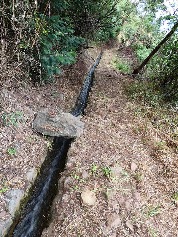 30 June 2018 A warm-up loop on the Caniço Trail around Assomada — Then a vertical levada — photo 13