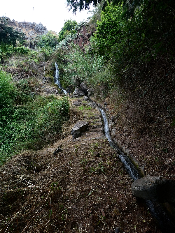 30 June 2018 A warm-up loop on the Caniço Trail around Assomada — Then a vertical levada — photo 14