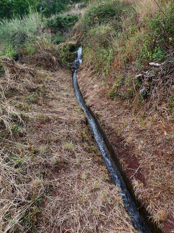 30 June 2018 A warm-up loop on the Caniço Trail around Assomada — On towards the ER-204, with old reservoirs — photo 1
