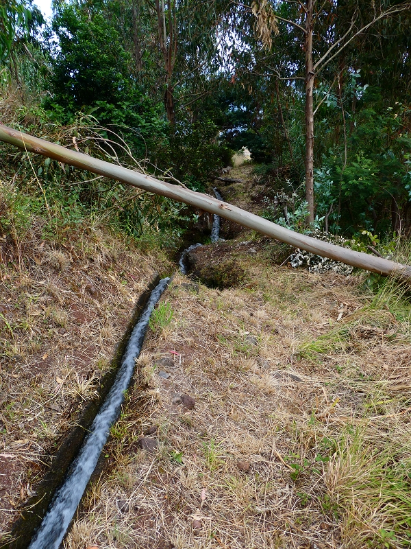 30 June 2018 A warm-up loop on the Caniço Trail around Assomada — On towards the ER-204, with old reservoirs — photo 2