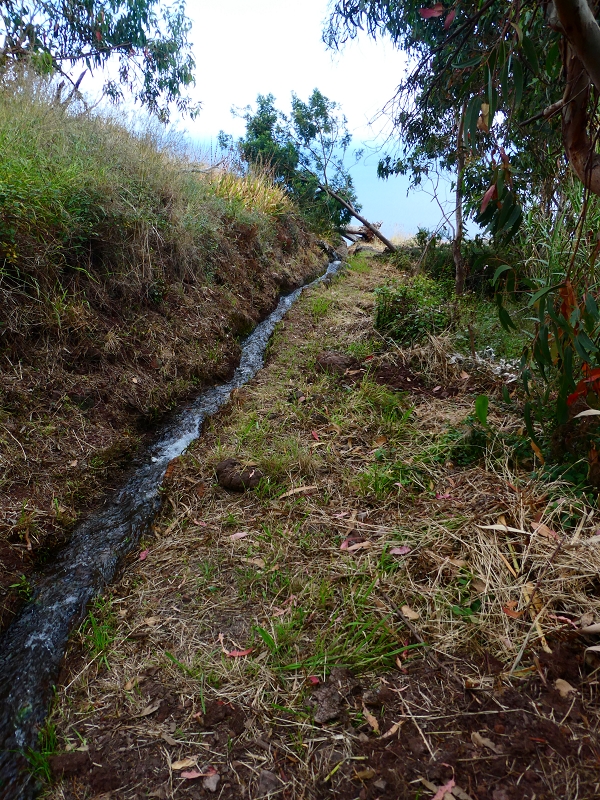 30 June 2018 A warm-up loop on the Caniço Trail around Assomada — On towards the ER-204, with old reservoirs — photo 3