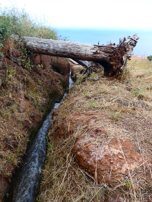 Levada do Pico do Arvoredo — Vertikal von der ER-205 zur ER-204, Speicherbecken — Foto 7