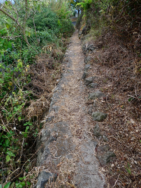 30 June 2018 A warm-up loop on the Caniço Trail around Assomada — On towards the ER-204, with old reservoirs — photo 10