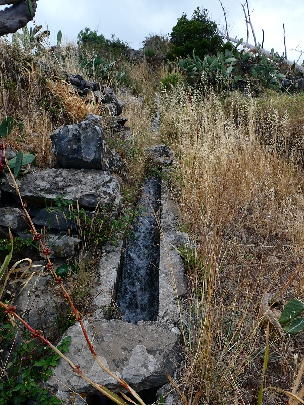 Levada do Caniço (de Baixo) — Beschreibung — Foto 38