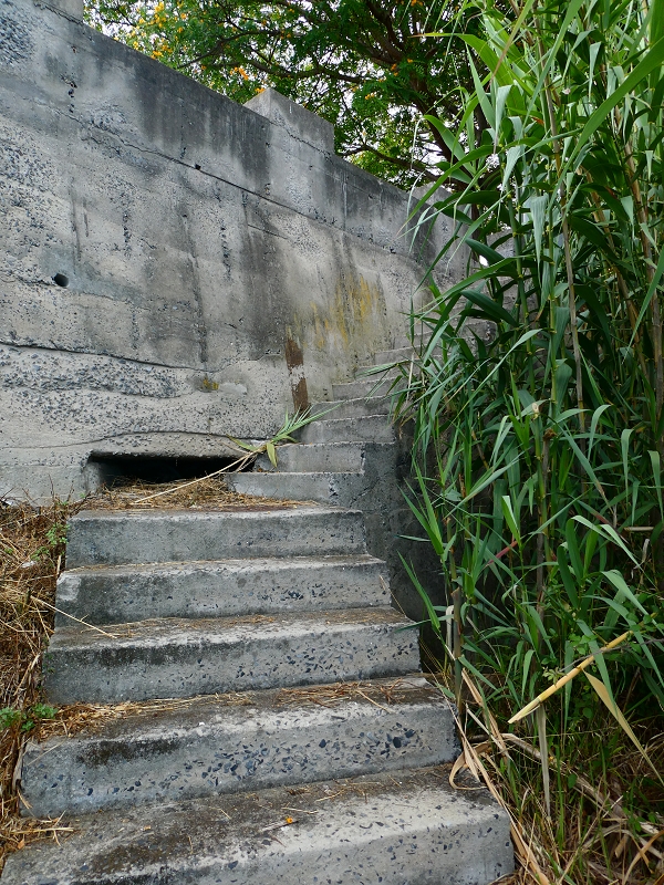 30 June 2018 A warm-up loop on the Caniço Trail around Assomada — On towards the ER-204, with old reservoirs — photo 13
