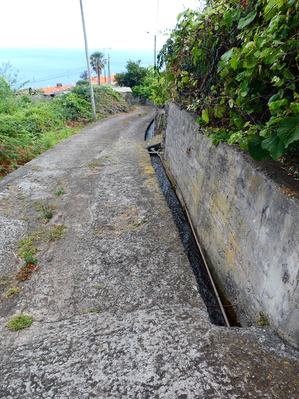 Levada do Pico do Arvoredo — Vertikal von der ER-205 zur ER-204, Speicherbecken — Foto 11