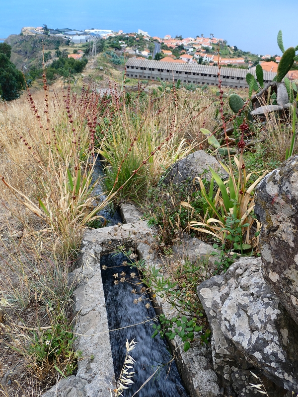 Levada do Caniço (de Baixo) — Beschreibung — Foto 39