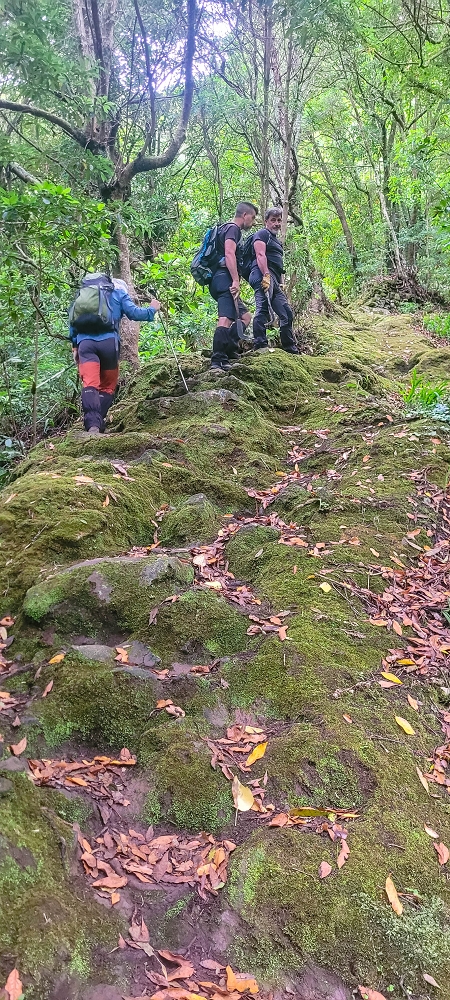 30.06.2022 Anspruchsvolle Besteigung des Pico do Meio Dia — Aufstieg über den Grat zum Gipfel des Pico do Meio Dia — Foto 1