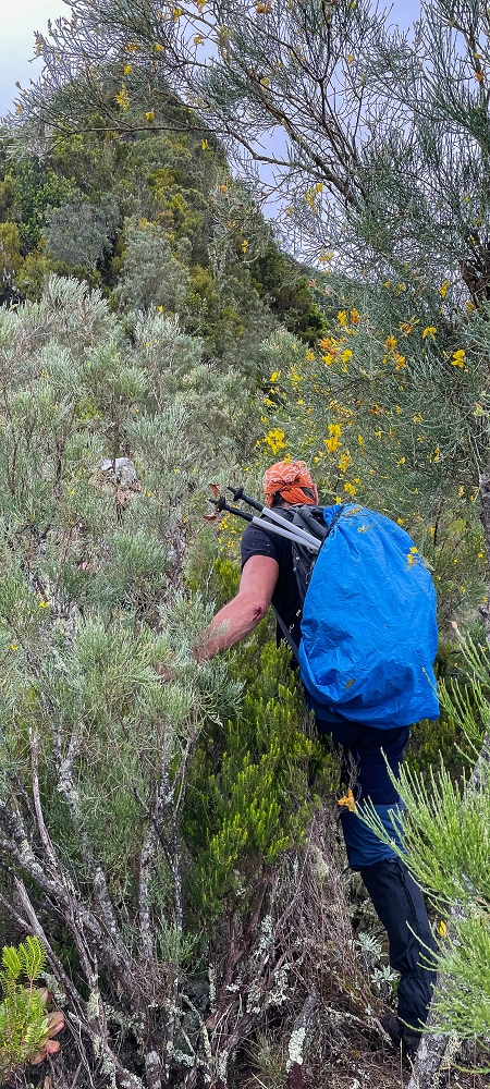 30.06.2022 Anspruchsvolle Besteigung des Pico do Meio Dia — Aufstieg über den Grat zum Gipfel des Pico do Meio Dia — Foto 14