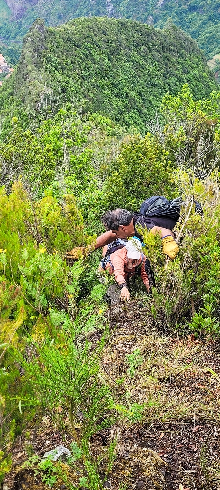 30.06.2022 Anspruchsvolle Besteigung des Pico do Meio Dia — Aufstieg über den Grat zum Gipfel des Pico do Meio Dia — Foto 24