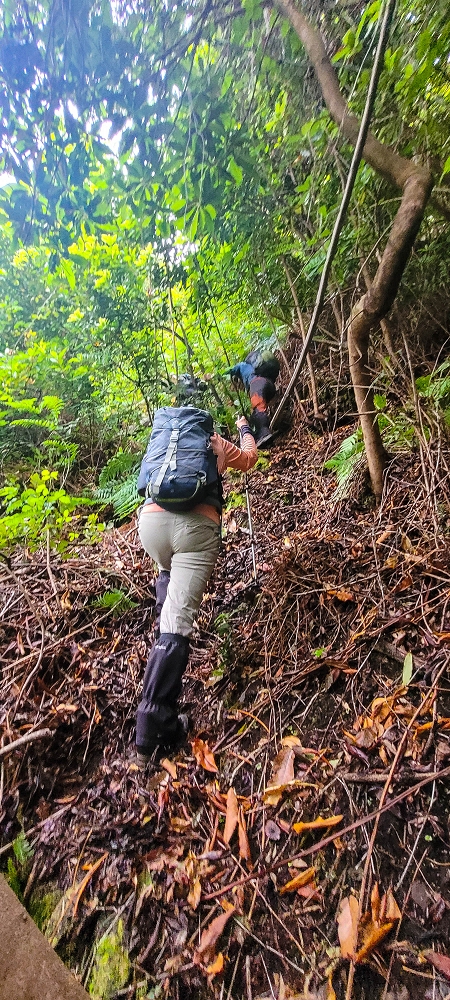 30.06.2022 Anspruchsvolle Besteigung des Pico do Meio Dia — Aufstieg über den Grat zum Gipfel des Pico do Meio Dia — Foto 3