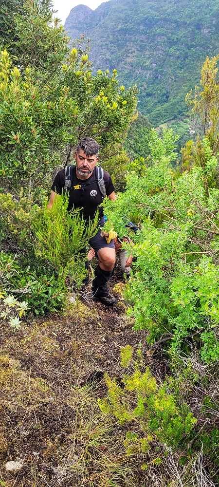 30.06.2022 Anspruchsvolle Besteigung des Pico do Meio Dia — Aufstieg über den Grat zum Gipfel des Pico do Meio Dia — Foto 32