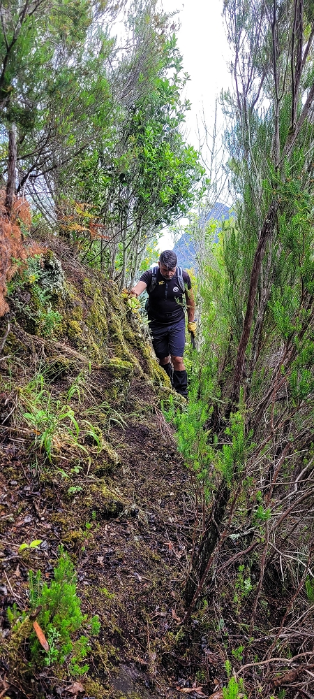 30.06.2022 Anspruchsvolle Besteigung des Pico do Meio Dia — Aufstieg über den Grat zum Gipfel des Pico do Meio Dia — Foto 36