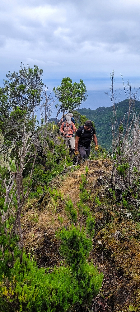 30.06.2022 Anspruchsvolle Besteigung des Pico do Meio Dia — Aufstieg über den Grat zum Gipfel des Pico do Meio Dia — Foto 37