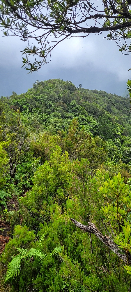 30.06.2022 Anspruchsvolle Besteigung des Pico do Meio Dia — Aufstieg über den Grat zum Gipfel des Pico do Meio Dia — Foto 44