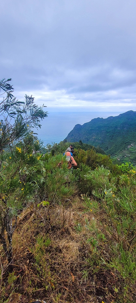 30.06.2022 Anspruchsvolle Besteigung des Pico do Meio Dia — Aufstieg über den Grat zum Gipfel des Pico do Meio Dia — Foto 6