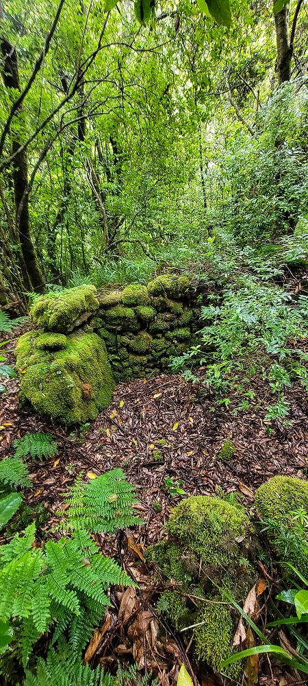 30.06.2022 Anspruchsvolle Besteigung des Pico do Meio Dia — Abstieg entlang der Ribeira dos Moinhos — Foto 12
