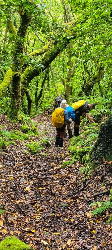 30.06.2022 Anspruchsvolle Besteigung des Pico do Meio Dia — Abstieg entlang der Ribeira dos Moinhos — Foto 13