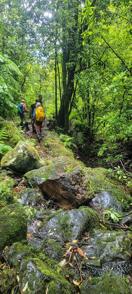 30.06.2022 Anspruchsvolle Besteigung des Pico do Meio Dia — Abstieg entlang der Ribeira dos Moinhos — Foto 16