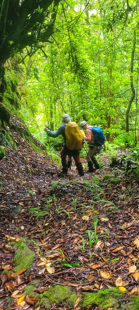 30.06.2022 Anspruchsvolle Besteigung des Pico do Meio Dia — Abstieg entlang der Ribeira dos Moinhos — Foto 17