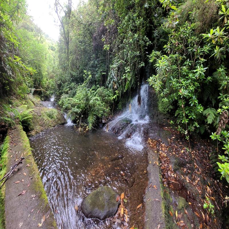 30.06.2022 Anspruchsvolle Besteigung des Pico do Meio Dia — Madre der Levada da Achada Grande — Foto 1