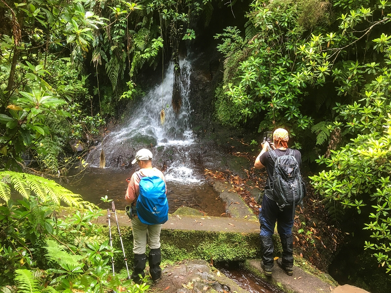30.06.2022 Anspruchsvolle Besteigung des Pico do Meio Dia — Madre der Levada da Achada Grande — Foto 3