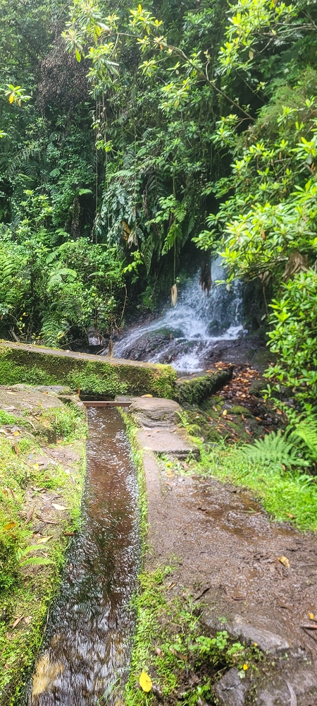 30.06.2022 Anspruchsvolle Besteigung des Pico do Meio Dia — Madre der Levada da Achada Grande — Foto 5