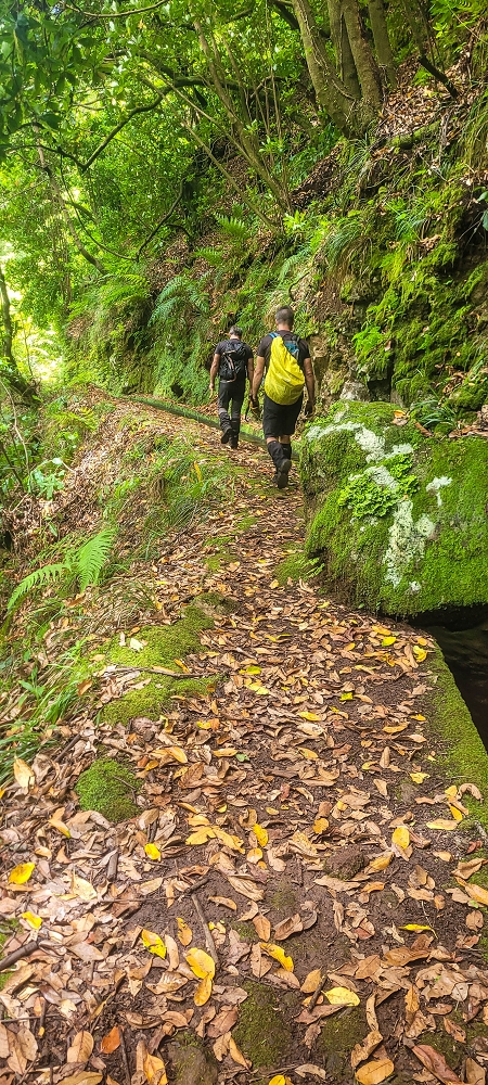 30.06.2022 Anspruchsvolle Besteigung des Pico do Meio Dia — Auf der Levada da Achada Grande — Foto 2