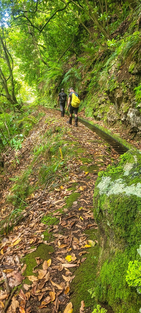 30.06.2022 Anspruchsvolle Besteigung des Pico do Meio Dia — Auf der Levada da Achada Grande — Foto 3