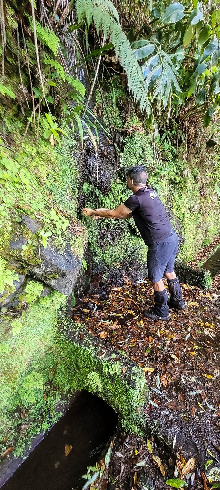 30.06.2022 Anspruchsvolle Besteigung des Pico do Meio Dia — Auf der Levada da Achada Grande — Foto 6