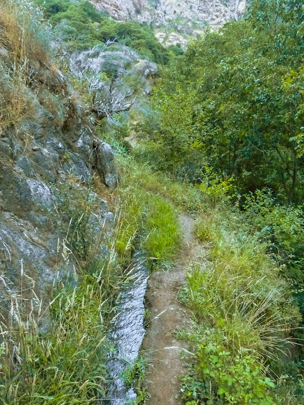 30.07.2013 Cardos-Aufstieg — Bis zur Madre der Levada do Pico Furao — Foto 1