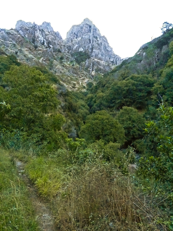 30.07.2013 Cardos-Aufstieg — Bis zur Madre der Levada do Pico Furao — Foto 2