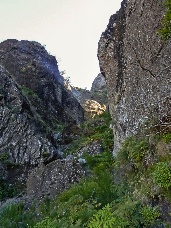30.07.2013 Cardos-Aufstieg — Zum Höhenweg — Foto 1