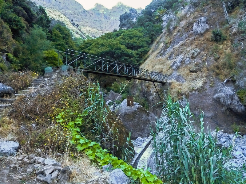 30.07.2013 Cardos-Aufstieg — Bis zur Madre der Levada do Pico Furao — Foto 4