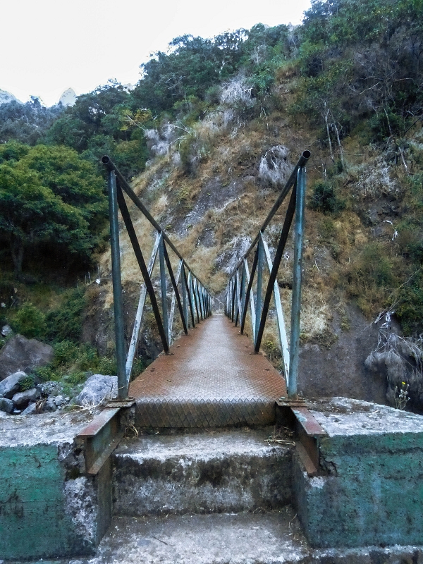 30.07.2013 Cardos-Aufstieg — Bis zur Madre der Levada do Pico Furao — Foto 5