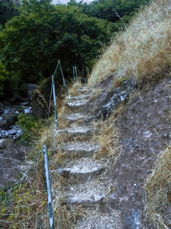 30.07.2013 Cardos-Aufstieg — Bis zur Madre der Levada do Pico Furao — Foto 6