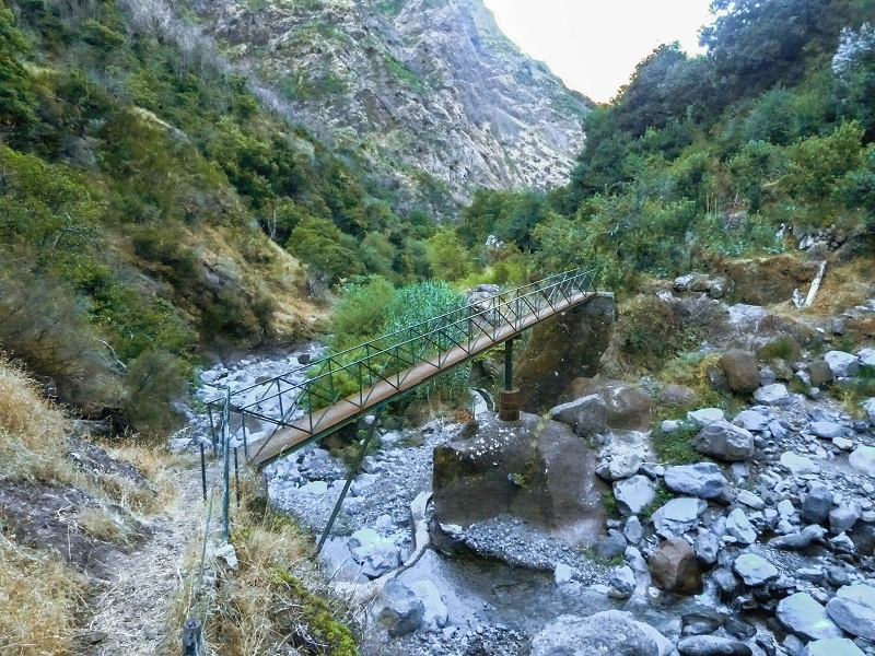 30.07.2013 Cardos-Aufstieg — Bis zur Madre der Levada do Pico Furao — Foto 7