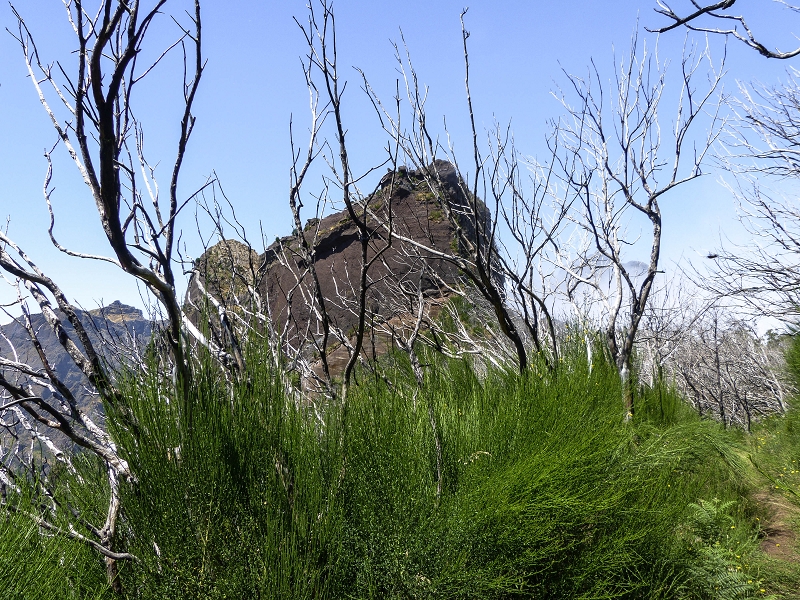 30.07.2013 Cardos-Aufstieg — Zur Boca das Torrinhas — Foto 36