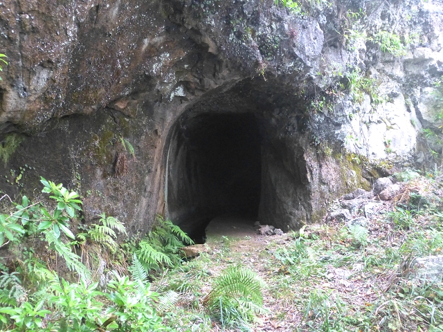 30.07.2014 Estanquinhos, Casa do Caramujo, Levada do Plaino Velho, Estanquinhos — Até ao último túnel antes da Madre — foto 38