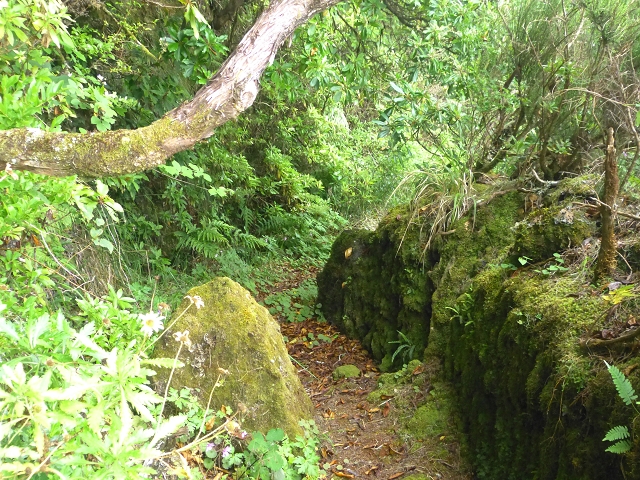30.07.2014 Estanquinhos, Casa do Caramujo, Levada do Plaino Velho, Estanquinhos — Até ao último túnel antes da Madre — foto 43