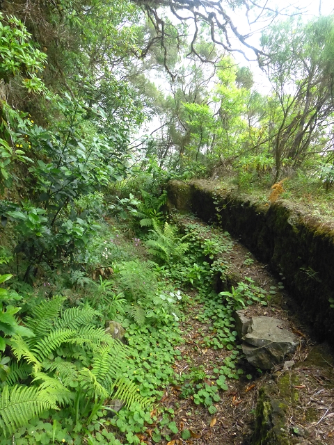 30.07.2014 Estanquinhos, Casa do Caramujo, Levada do Plaino Velho, Estanquinhos — Até ao último túnel antes da Madre — foto 46