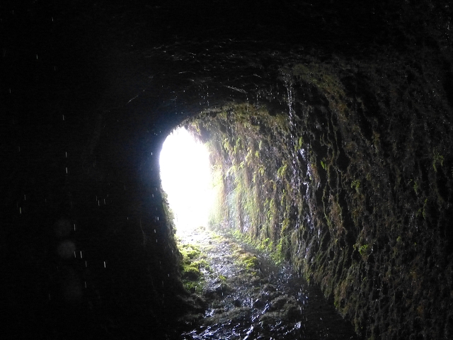 30.07.2014 Estanquinhos, Casa do Caramujo, Levada do Plaino Velho, Estanquinhos — A Madre da Levada do Plaino Velho — foto 7