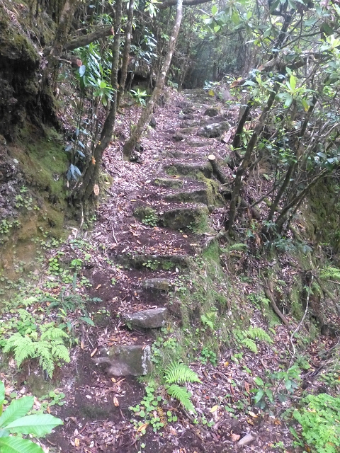 30.07.2014 Estanquinhos, Casa do Caramujo, Levada do Plaino Velho, Estanquinhos — Subida ao Pico Ruivo do Paul e regresso ao ponto de partida — foto 1