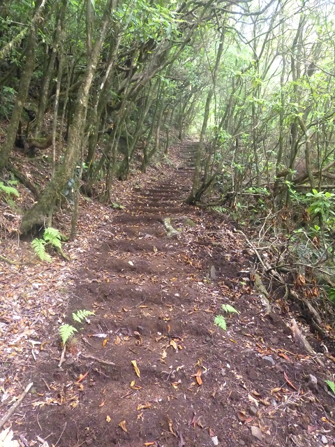 30.07.2014 Estanquinhos, Casa do Caramujo, Levada do Plaino Velho, Estanquinhos — Subida ao Pico Ruivo do Paul e regresso ao ponto de partida — foto 2