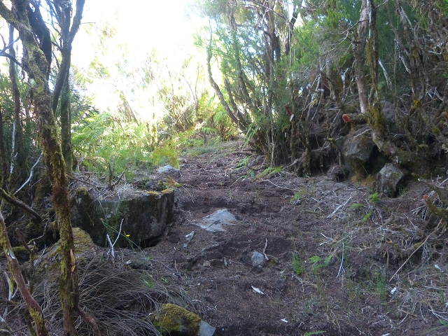 30.07.2014 Estanquinhos, Casa do Caramujo, Levada do Plaino Velho, Estanquinhos — Subida ao Pico Ruivo do Paul e regresso ao ponto de partida — foto 16