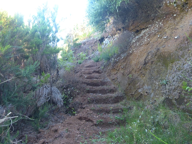 30.07.2014 Estanquinhos, Casa do Caramujo, Levada do Plaino Velho, Estanquinhos — Subida ao Pico Ruivo do Paul e regresso ao ponto de partida — foto 30