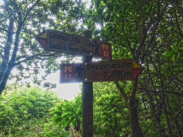 30.07.2014 Estanquinhos, Casa do Caramujo, Levada do Plaino Velho, Estanquinhos — Seguindo até à Levada do Plaino Velho — foto 9