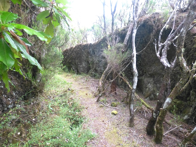 30.07.2014 Estanquinhos, Casa do Caramujo, Levada do Plaino Velho, Estanquinhos — Ao caminho de descida para a Levada do Norte, ou à subida ao Pico Ruivo do Paul — foto 39