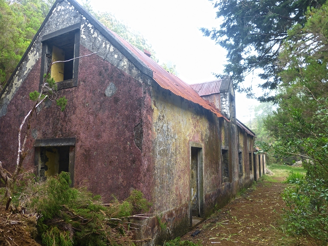 30.07.2014 Estanquinhos, Casa do Caramujo, Levada do Plaino Velho, Estanquinhos — Descida de Estanquinhos à Casa do Caramujo — foto 6