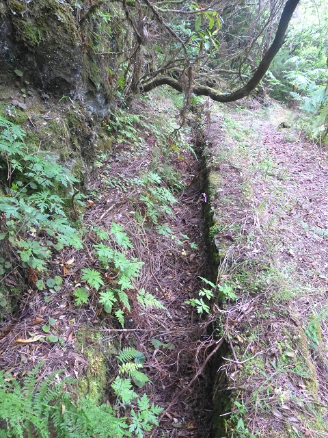 30.07.2014 Estanquinhos, Casa do Caramujo, Levada do Plaino Velho, Estanquinhos — Ao caminho de descida para a Levada do Norte, ou à subida ao Pico Ruivo do Paul — foto 41